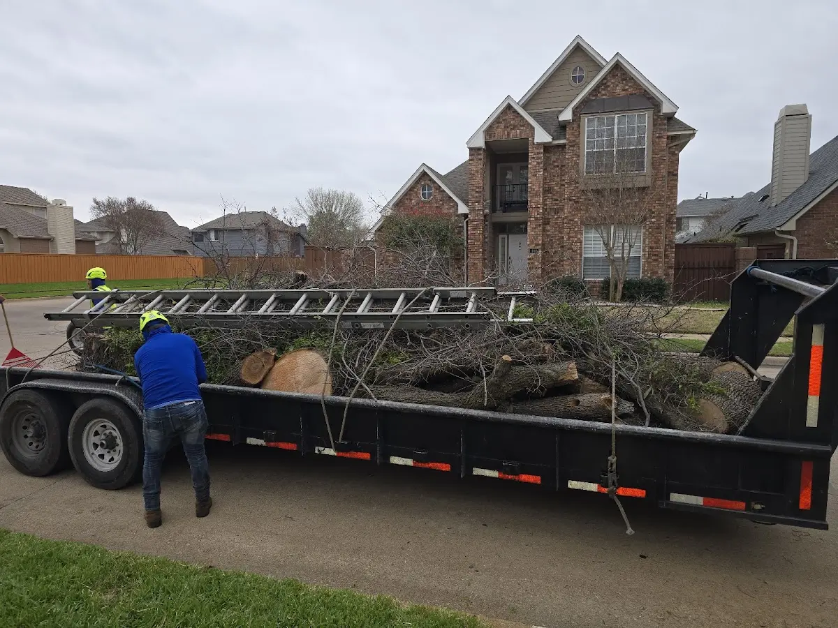 Expert Crown Reduction with proper safety equipment in Prosper